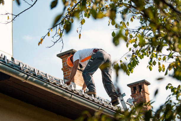 Best Roof Restoration Services  in Chrisman, IL