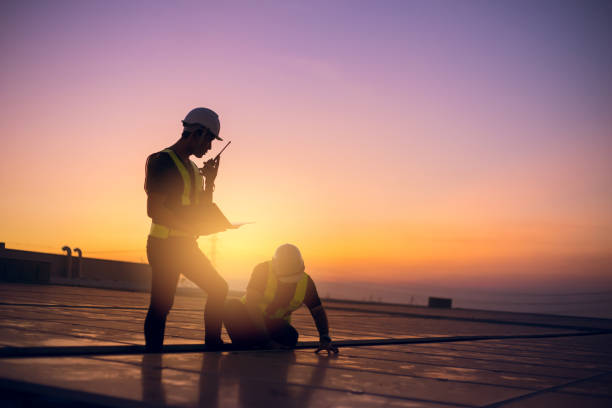 Best Affordable Roof Replacement  in Chrisman, IL