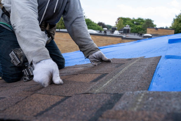 Best Affordable Roofing Company  in Chrisman, IL
