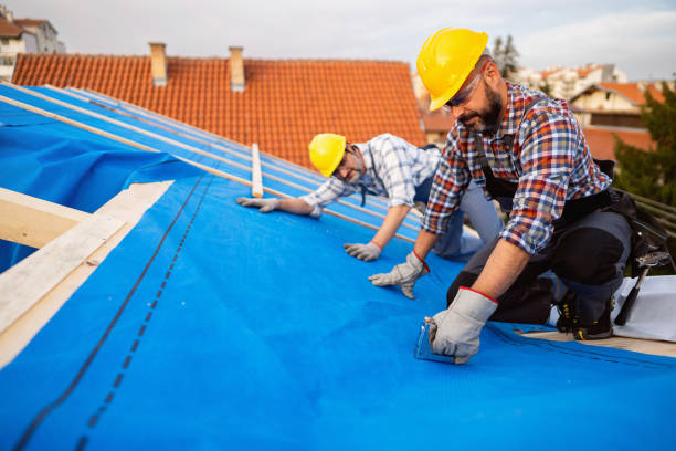 Best Sealant for Roof  in Chrisman, IL