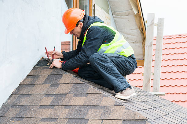 Best Flat Roof Repair Services  in Chrisman, IL