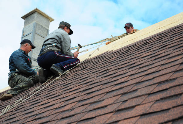 Best Roof Restoration Services  in Chrisman, IL