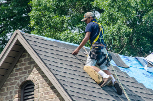 Best Local Roofing Companies  in Chrisman, IL